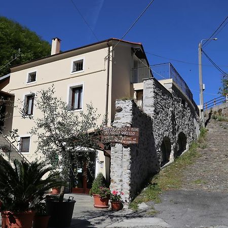 Agriturismo Dai Marchesin Nasino エクステリア 写真